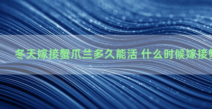 冬天嫁接蟹爪兰多久能活 什么时候嫁接蟹爪兰最好